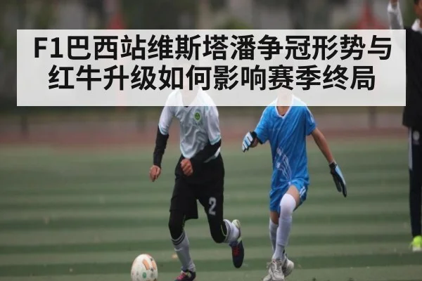 F1巴西站维斯塔潘争冠形势与红牛升级如何影响赛季终局（kaiyun）